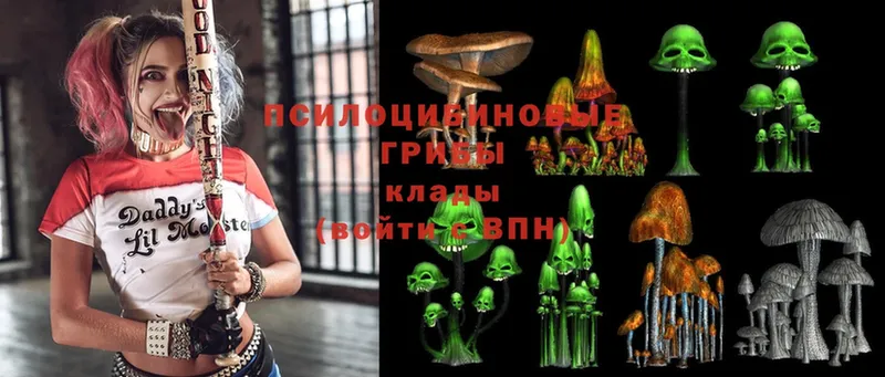 ссылка на мегу ТОР  Бодайбо  Псилоцибиновые грибы MAGIC MUSHROOMS 